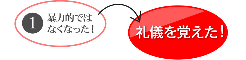 ①暴力的ではなくなった！→礼儀を覚えた！